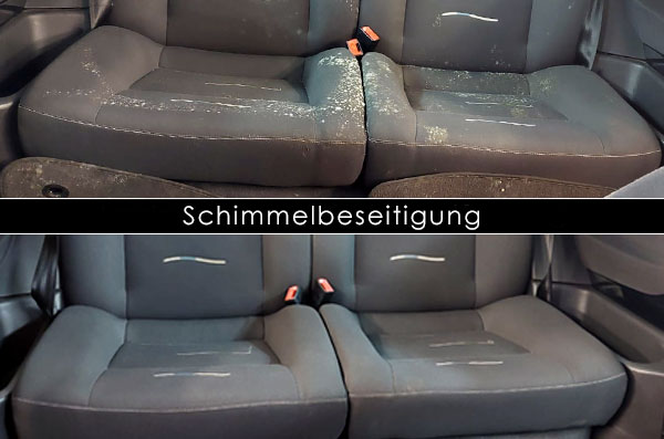 https://www.fahrzeugpflege-laabs.de/images/bilder/schimmelbeseitigung.jpg